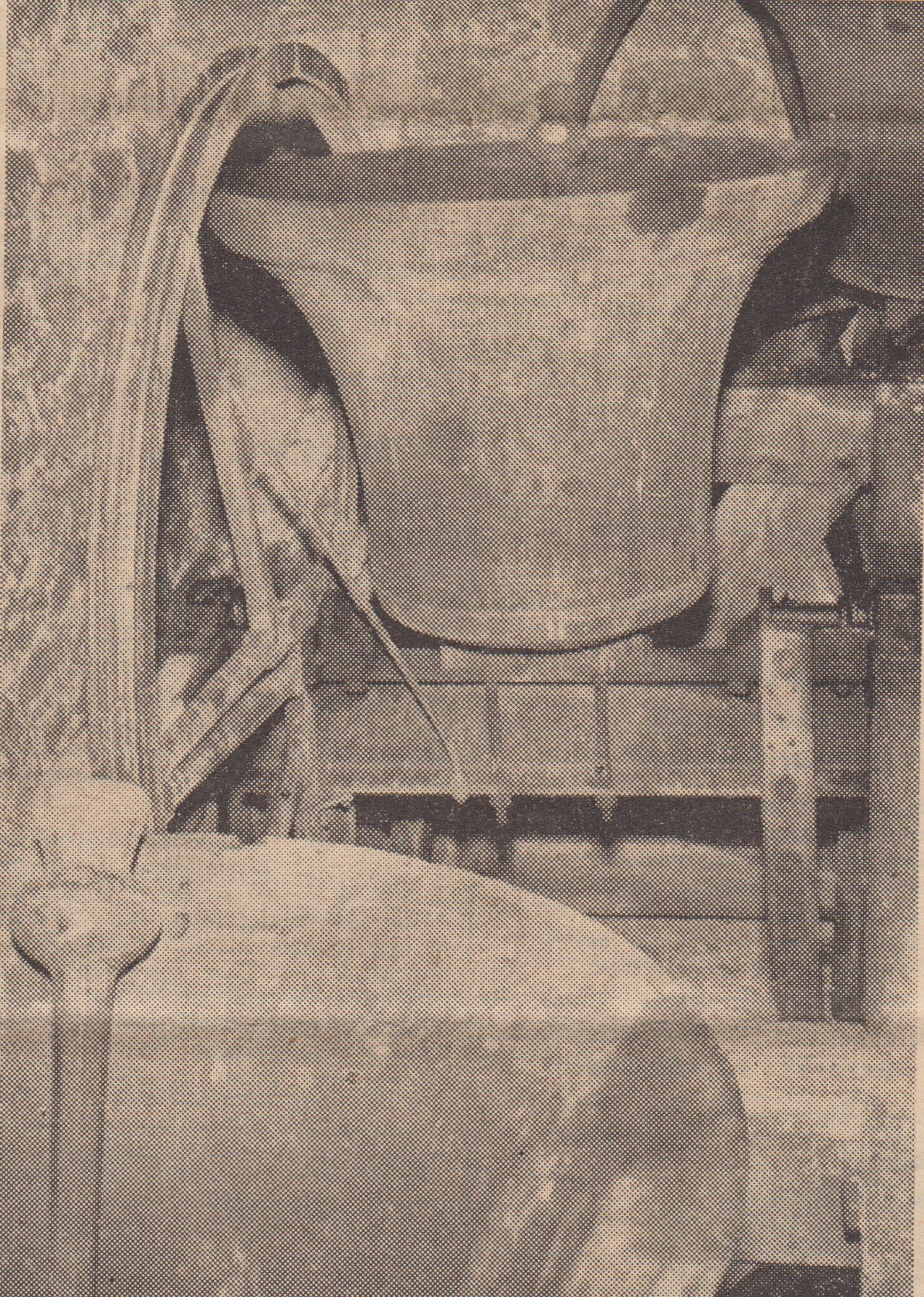 History and Archive