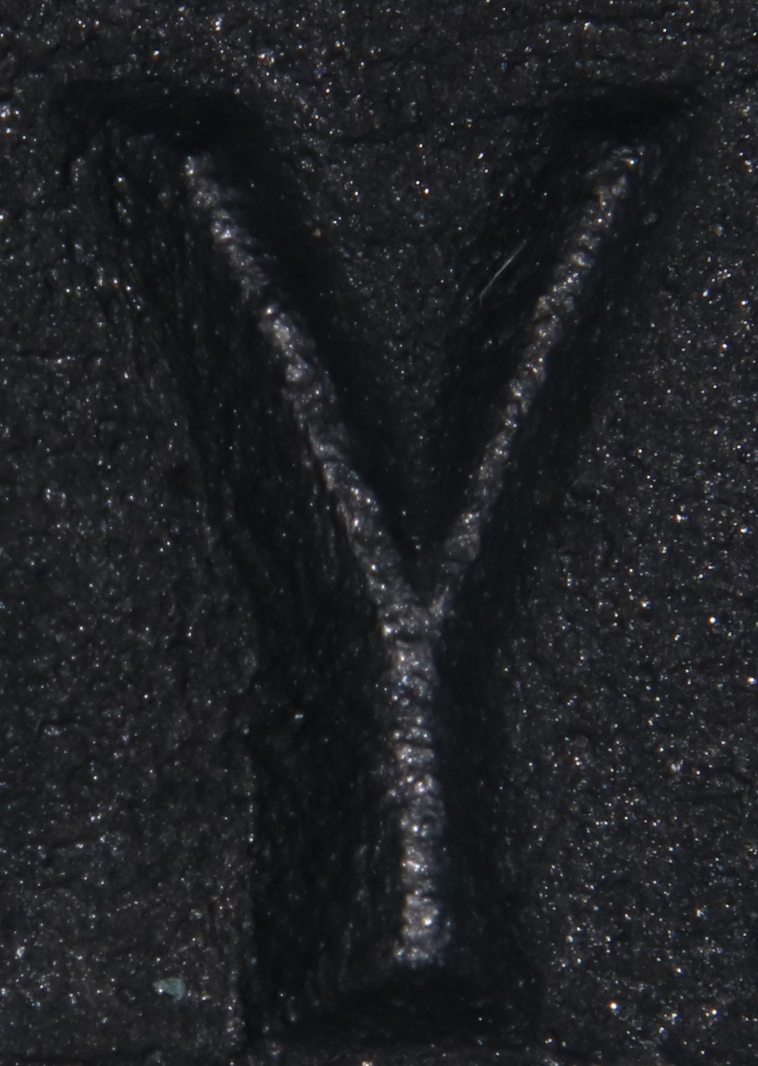 Y